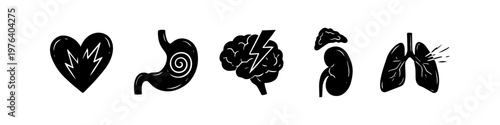 Hand-drawn black icons of human organs: heart, stomach, brain, kidney, and lungs. Medical illustration set representing health, anatomy, and internal body systems on a white background.