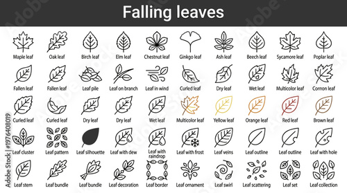 Falling leaves line style icons, 40 distinct items including maple leaf, oak leaf, birch leaf, elm leaf, chestnut leaf, ginkgo