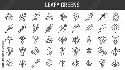 Green leafy ingredients featuring aromatic plant leaves, culinary herb leaves, seasoning plant leaves, fresh flavor leaves, soft