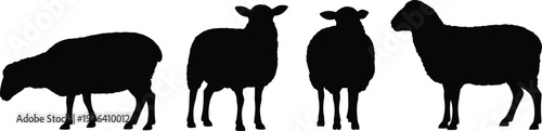 Sheep silhouette vector set, farm animal collection with different poses and wool shapes, livestock design isolated on white background