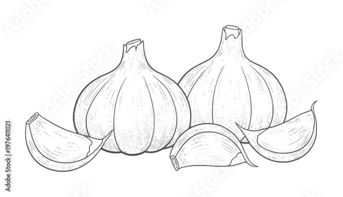 Two whole garlic bulbs and four cloves a white food ingredient