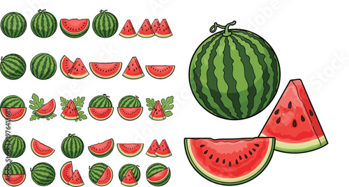 Watermelon collection with whole fruits slices wedges and leaves fresh summer juicy food vector illustration set