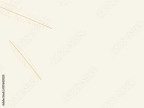 Botanical Leaf Skeleton Vein Network Organic Background