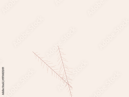 Leaf Vein Branch Pattern Natural Plant Design Wallpaper