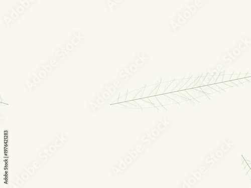 Natural Leaf Vein Pattern Botanical Branch Design