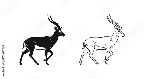 Antelope Species Comparison Guide Vector