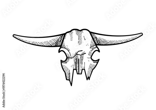 Bull skull with horns - hand drawn sketch - vector illustration