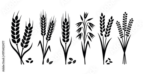 A set of black vector icons showing different cereal grains like wheat, rye, and oats. Perfect for bakery logos, organic food packaging, and agricultural design.
