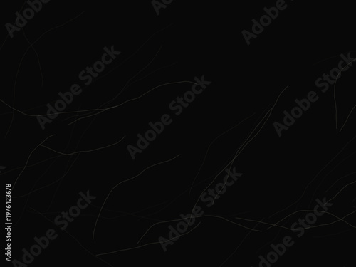 Dark Smoke Curl Atmospheric Fog Elegant Design