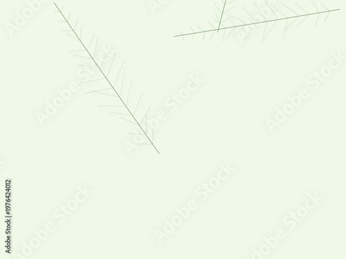Natural Leaf Vein Pattern Botanical Branch Design