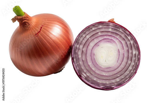 A close-up depiction of a red onion and its cross-sectional view revealing inner layers