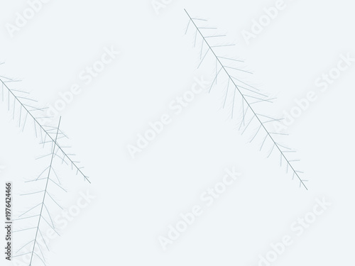 Organic Leaf Vein Network Botanical Nature Background