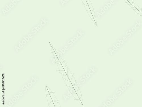 Botanical Leaf Skeleton Vein Network Organic Background