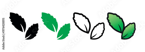 Stevia Sweet Green Plant Leaves Vector Icons Set on White Background. Sugar Substitute. Organic, Bio and Ecological Icon. Health Care Logo Element.