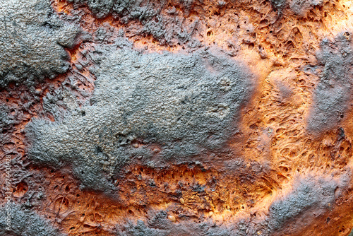 Canvas Print maillard reaction, bread crust