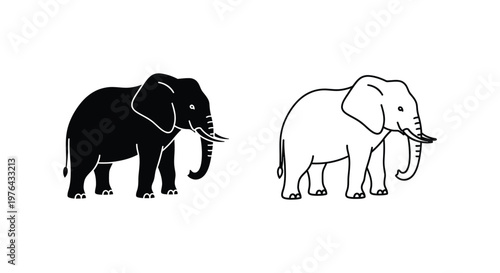 African vs Asian Elephant Comparison Guide Vector
