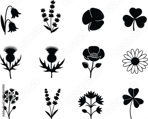 Minimalist black and white botanical line art icons set for design  