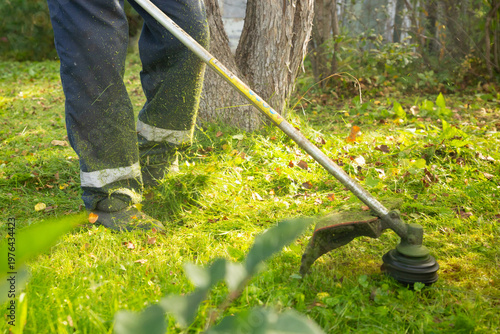 Gardener using string trimmer to cut grass in garden. Man mowing lawn with weed whacker. Professional landscaping work and maintenance of backyard. Seasonal yard care and gardening concept.