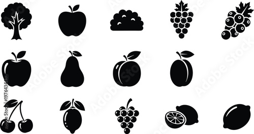 Set of black fruit and tree icons on white background vector illustration  