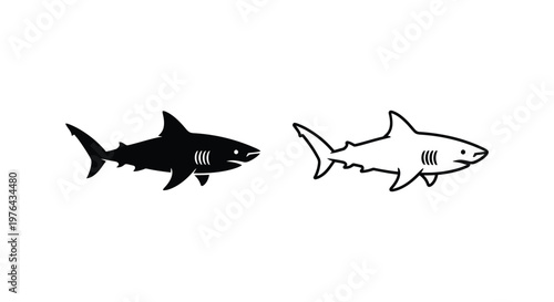 GreatWhiteSharkVectorIllustrationDesign Vector