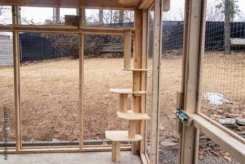 Large outdoor catio enclosure designed for domestic cats