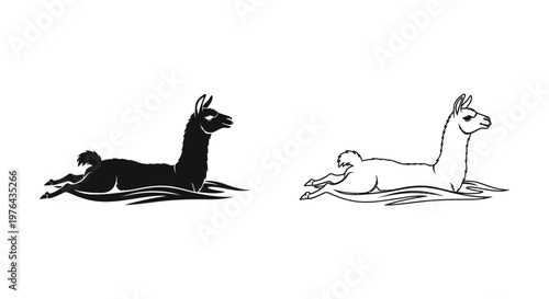 Llamas vs Alpacas Resting Positions Guide Vector