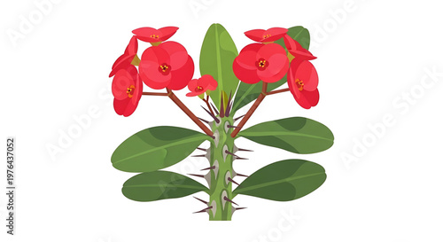 A vibrant illustration of a flowering plant with red blooms and green leaves on a white background