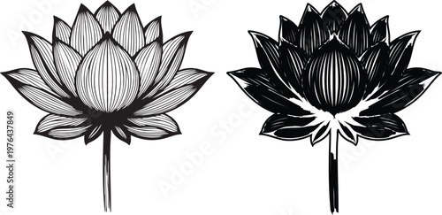 Black and white of two whisk silhouettes with detailed bristles kitchen utensil whisk bristles