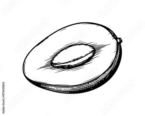 Avocado Illustration: A detailed monochrome illustration of a halved avocado, showcasing its creamy flesh and the prominent pit, evoking freshness and healthy eating.