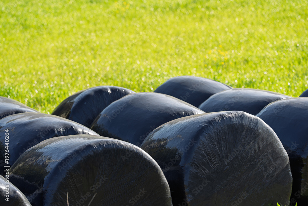 Obraz premium Black Wrapped Hay Bales in Bright Green Field