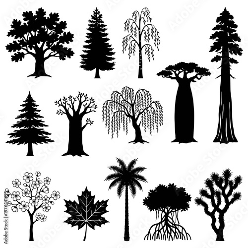 Tree silhouettes set featuring oak, pine, birch, willow, palm, and diverse botanical species icons