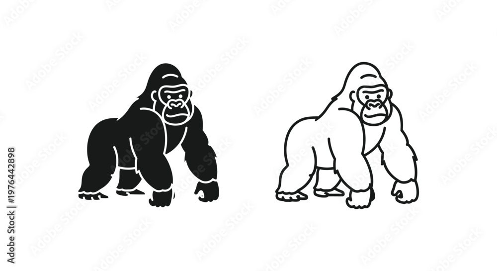 Obraz premium Gorillas Comparison Mountain vs Lowland Gorilla Guide Vector