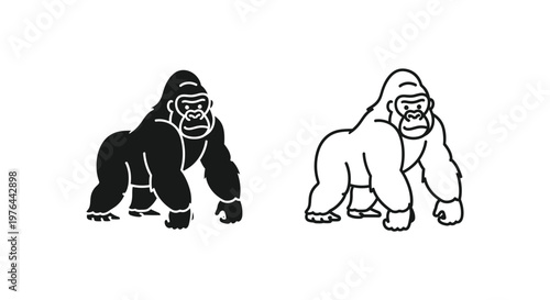 Gorillas Comparison Mountain vs Lowland Gorilla Guide Vector