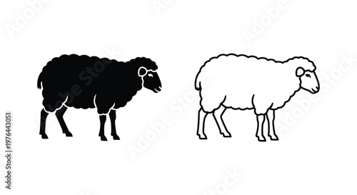 Black vs White Sheep Illustration Guide Vector