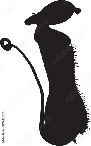 Musician tuning guitar strings with hands close up illustration musician instrument acoustic silhouette