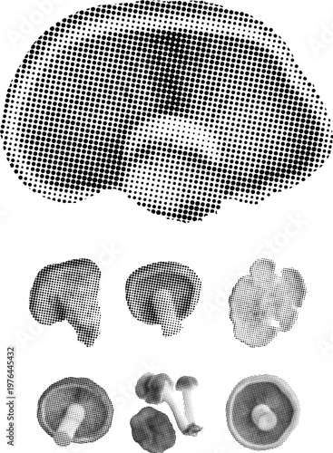 Grunge mushroom art with punk dot pattern for unique designs. Vector png collage isolated on transparent