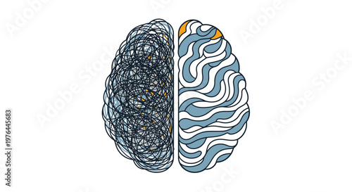 Illustration of human brain with contrasting hemispheres.