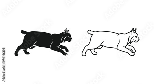 Lynx Running Silhouette Design Comparison Vector