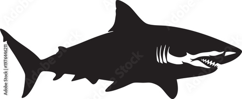 Strelitzia reginae bird of paradise flower isolated on white background with paradise strelitzia tropical