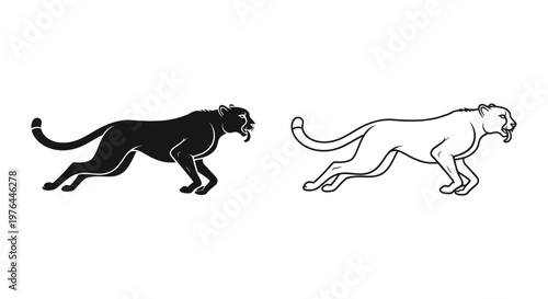 Black Panther vs Leopard Feline Silhouette Comparison Guide Vector