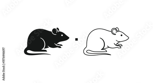 Rat vs Mouse Visual Comparison Guide Vector