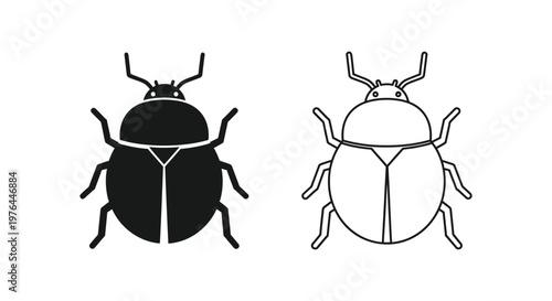 Ladybugs vs Beetles Key Differences  Identification Guide Vector