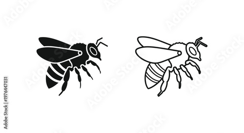 Bee vs Wasp Identifying Differences in Nature Vector