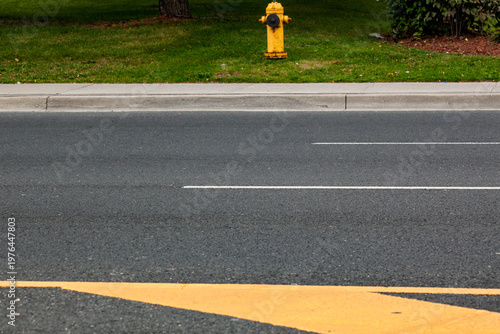 A bright yellow fire hydrant stands on a grassy strip beside a paved road marked with a bold directional arrow