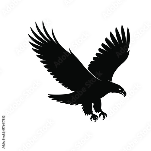 A bold silhouette of a bird of prey in flight with its wings spread wide