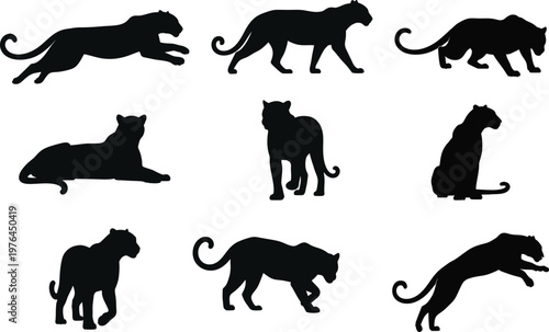 A collection of leopard silhouettes 