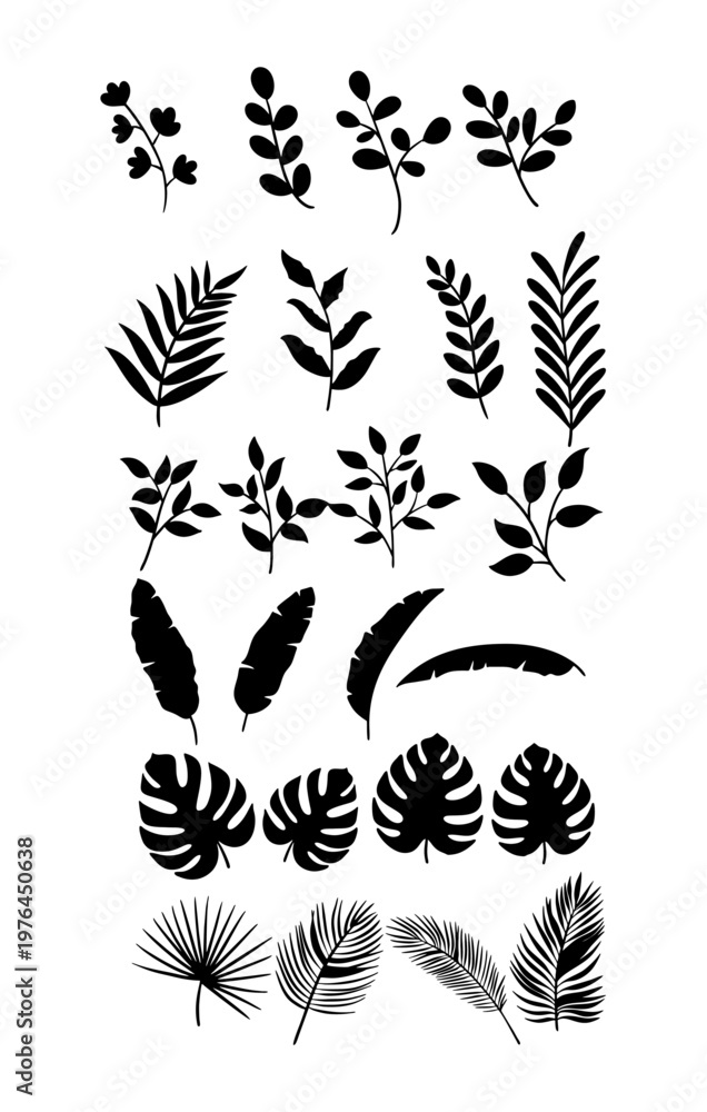 Fototapeta premium Vector Leaf