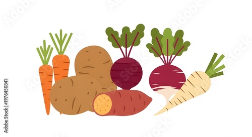Fresh harvest of root vegetables with leafy greens on white background for healthy eating concept