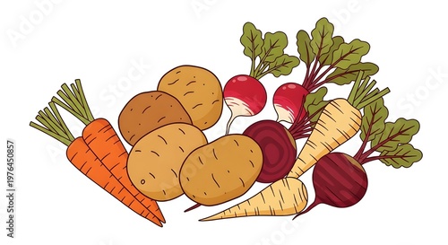 Fresh harvest of root vegetables with beets, carrots, and turnips on white background