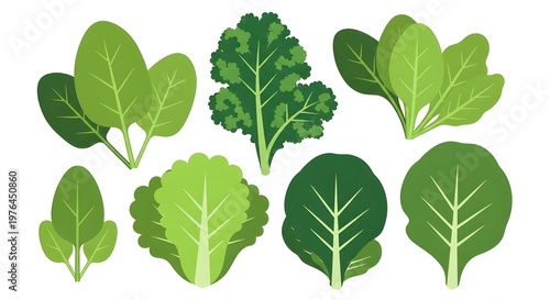 Fresh green leafy vegetables set isolated on white background for healthy eating and nutrition concept